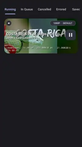 YTDLnis скриншот 18