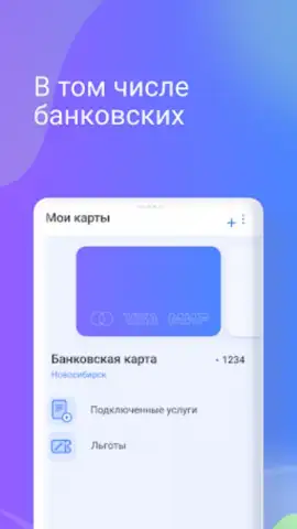 Транспортная карта скриншот 1