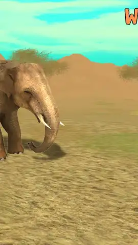 Wild Elephant Sim 3D скриншот 5