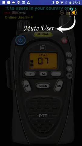 Online Walkie Talkie Pro PTT скриншот 5