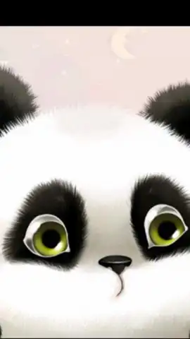 Panda Chub Live Wallpaper Free скриншот 1
