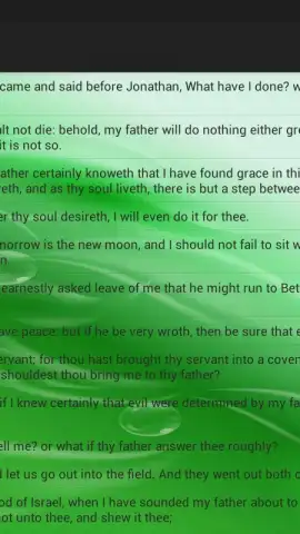 Holy Bible King James Version скриншот 10