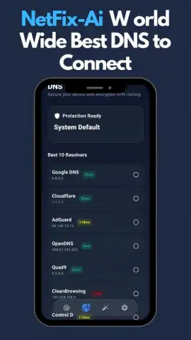 NetFix-Ai: Smart DNS Changer скриншот 2