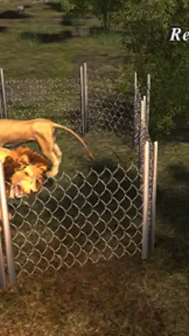 Lion 3D Attack скриншот 1