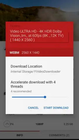 YVideo Downloader скриншот 3
