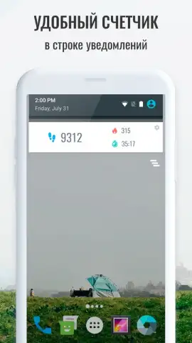 Pedometer скриншот 1