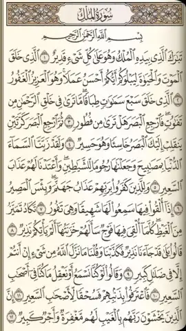 القرآن الكريم كامل مع التفسير‎ скриншот 2