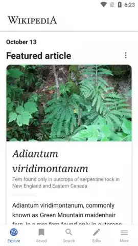 Wikipedia скриншот 5