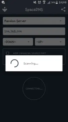 SpaceDNS скриншот 4