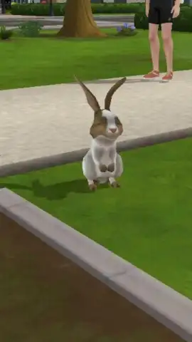 Virtual Sim Story: Dream Life скриншот 5