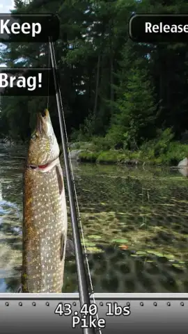 i Fishing Lite скриншот 3