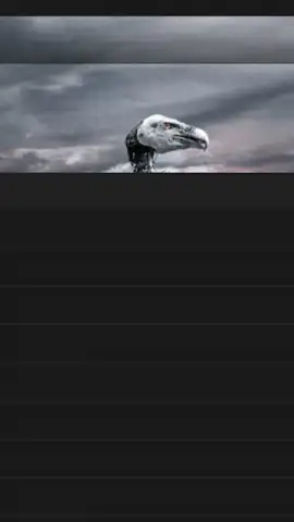 My Movies Free скриншот 12