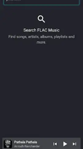 FLAC Music скриншот 1
