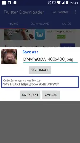 Video Downloader for Twitter скриншот 1