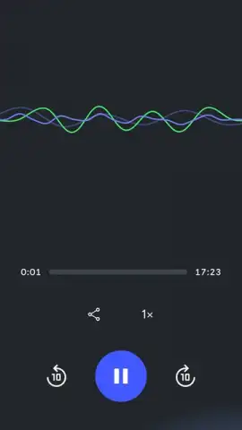 Google NotebookLM скриншот 2