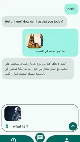 Chat Mate скриншот 7