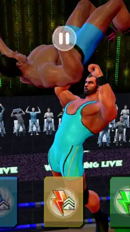 Tag Team Wrestling Games: Mega Cage Ring Fighting скриншот 4