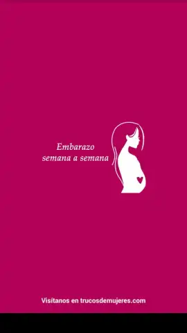 Semanas Embarazo скриншот 14