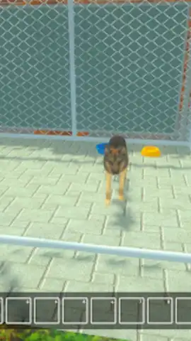 Animal Shelter Pet World Life скриншот 4