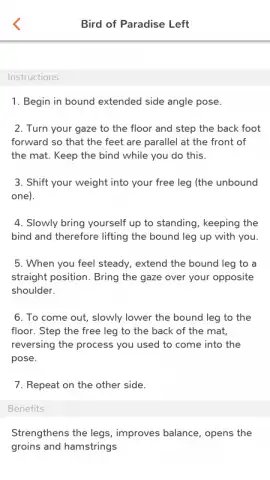 TrackYoga скриншот 3
