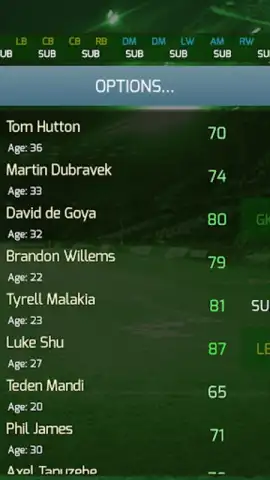 True Football 3 скриншот 14