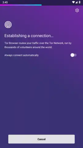 Tor Browser скриншот 24