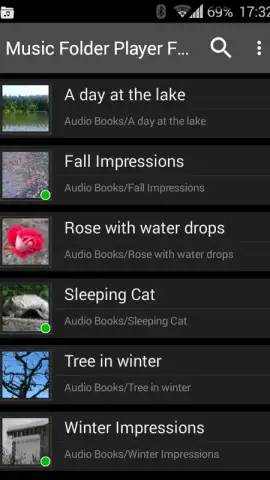 Music Folder Player Free скриншот 2