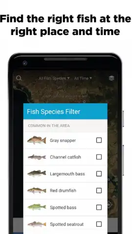 FishBrain скриншот 6