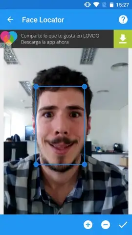 FaceSwap скриншот 1