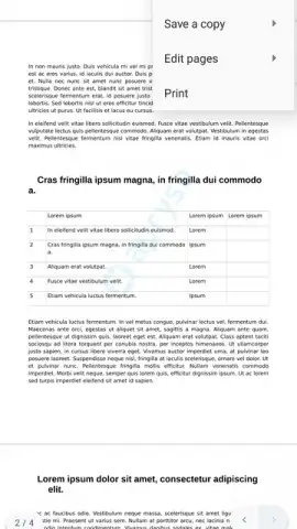 Progromatic DOCS Reader скриншот 3