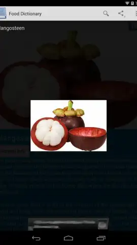 Food Dictionary скриншот 8