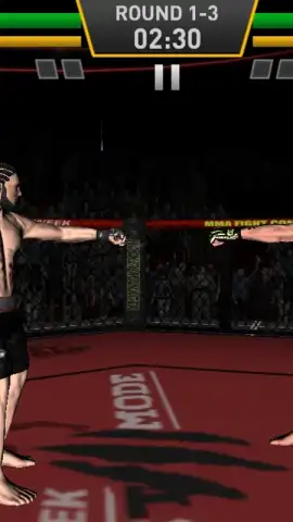Fighting Star скриншот 1
