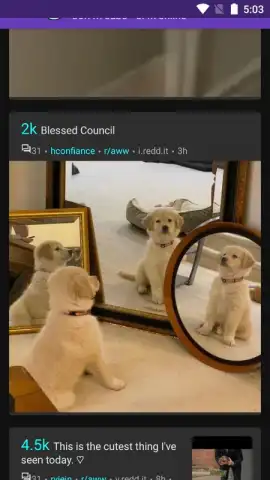 Flex скриншот 7