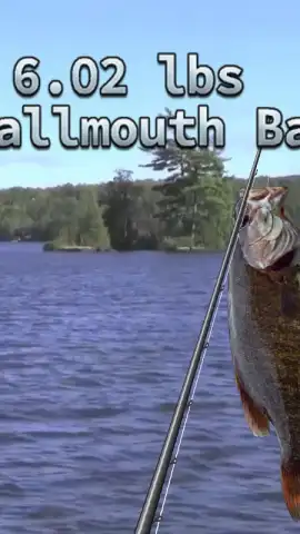 i Fishing 3 Lite скриншот 2