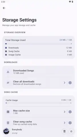 VIVI Music скриншот 13