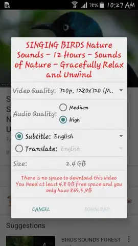YouTube Pro Downloder скриншот 6
