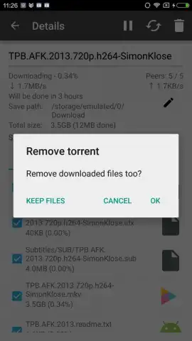 CatTorrent скриншот 4