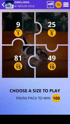 100 PICS Puzzles скриншот 5