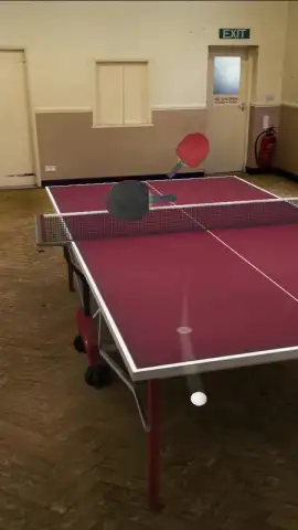 Table Tennis Touch скриншот 6