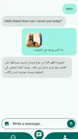 Chat Mate скриншот 8