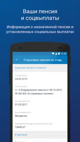 ПФР Электронные сервисы скриншот 2