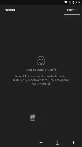 Opera Mini beta скриншот 5