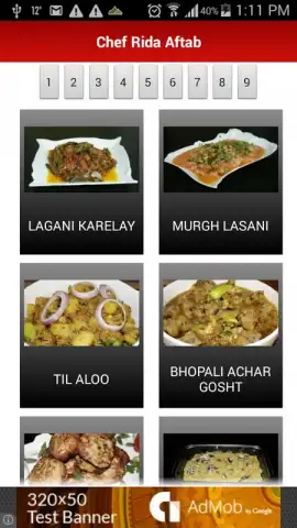 Chef Rida Pakistani Recipes скриншот 3