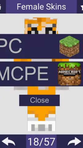 Skins For Minecraft скриншот 3