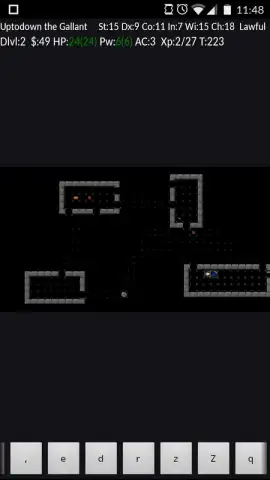 NetHack скриншот 1