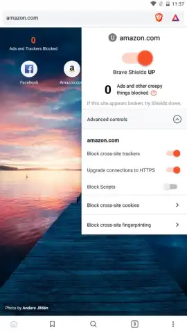 Brave Nightly (devs & testers) скриншот 1