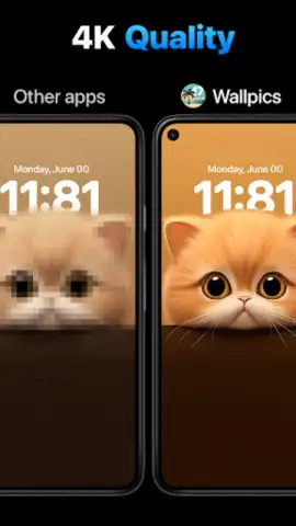Wallpics скриншот 7