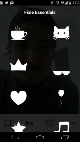 Fixie GIF Camera скриншот 2