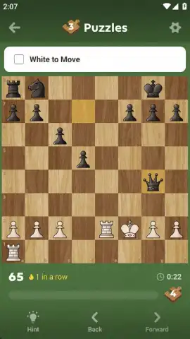 Chess - Play and Learn скриншот 9
