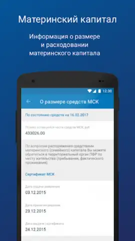 ПФР Электронные сервисы скриншот 1